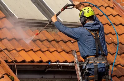 Démoussage et hydrofuge de toiture à Dortan